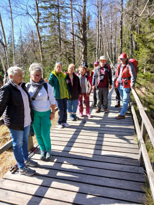 Wanderung mit Übernachtung, 
Hochmoor Kaltenbronn,
12. April 2025